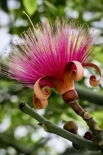 门房老头突然不见了

刚上班时，我住在单身公寓，单身公寓门厅有一个门房，看门的是