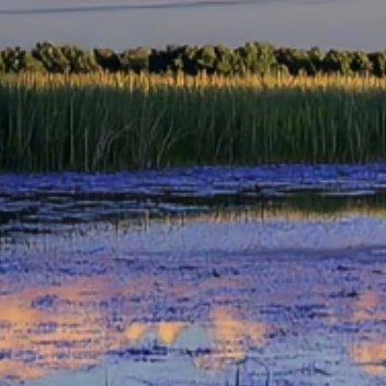 每日一善  每日一善   阳光信用 斗志和干劲很重要，但更重要的，是不断坚持的努