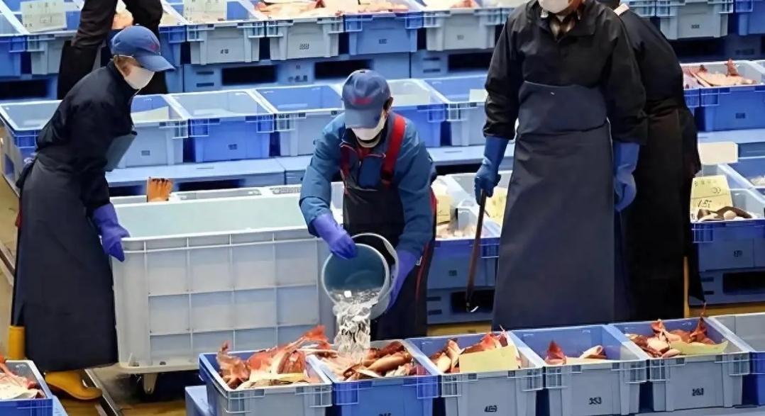 日本又赖上中国了，日本是这样报道的:“中国不买了，12万吨水产烂在港口！”。
 