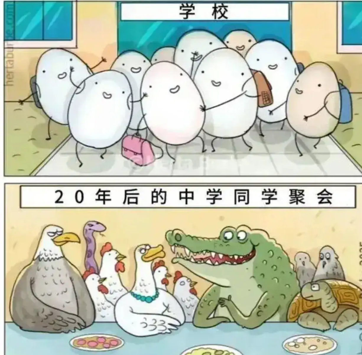 这告诉我们什么道理？ ​​​