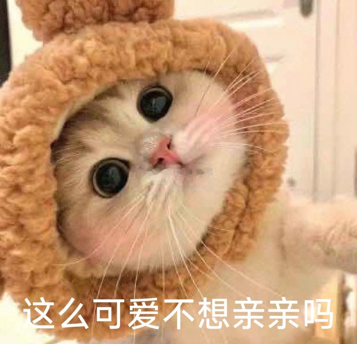 突击检查！谁是最爱我的[哇][哇] ​​​