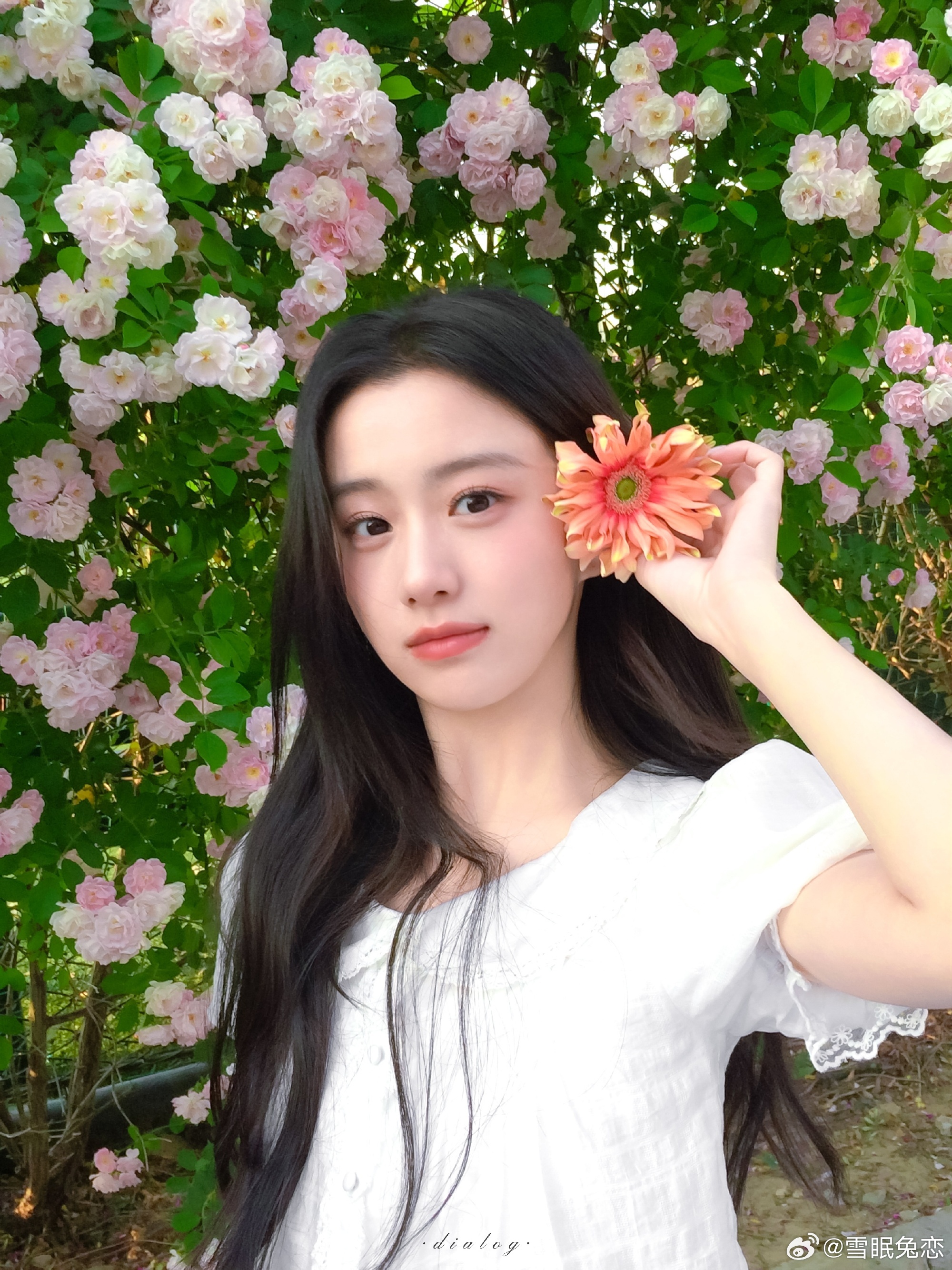 包上恩 🍞包上恩任瑶期 🍞包上恩窈窈有期 当世界凉如荒岛 我们依然会是彼此的