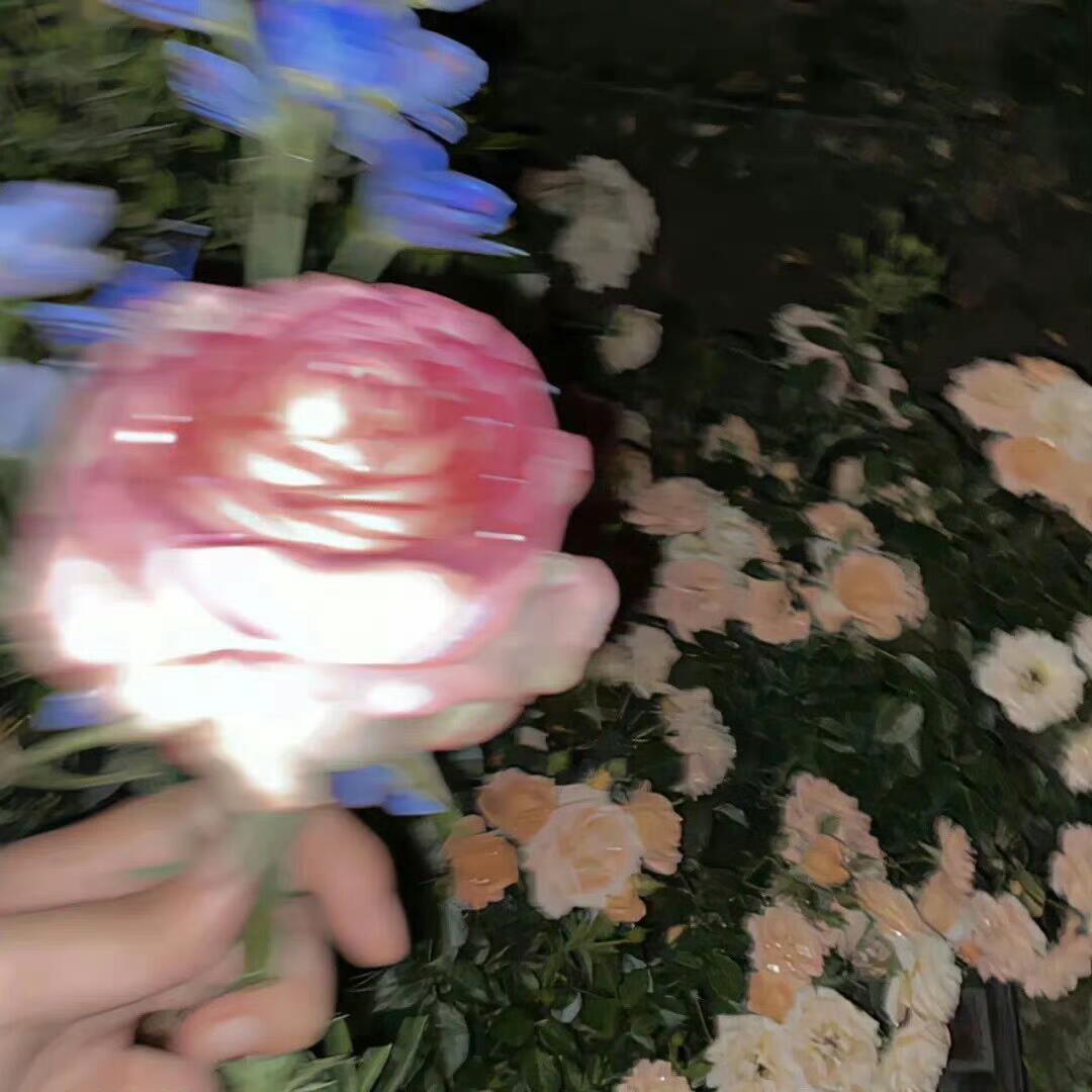 没有在长夜痛哭过的人，不足以谈人生，痛，是人生的一场必修课 