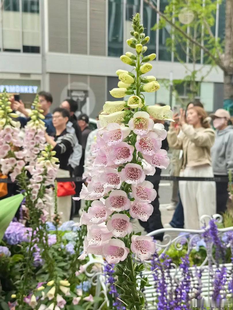 A股:午评与下午预判上午，上证指数报收4199.19点，下跌了43.38点，跌幅