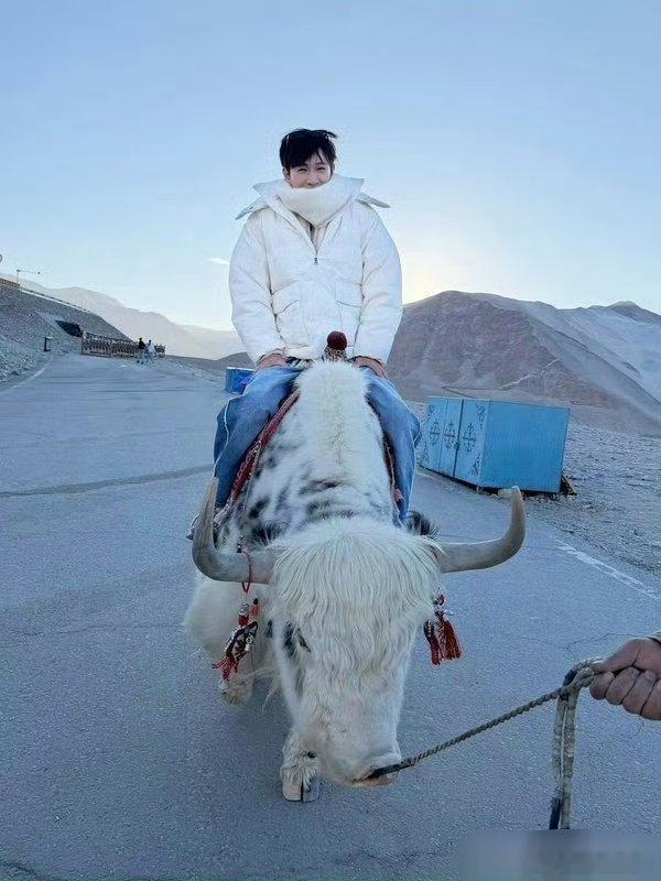 青春男大，迷死谁了，新剧没有播之前请多发自拍