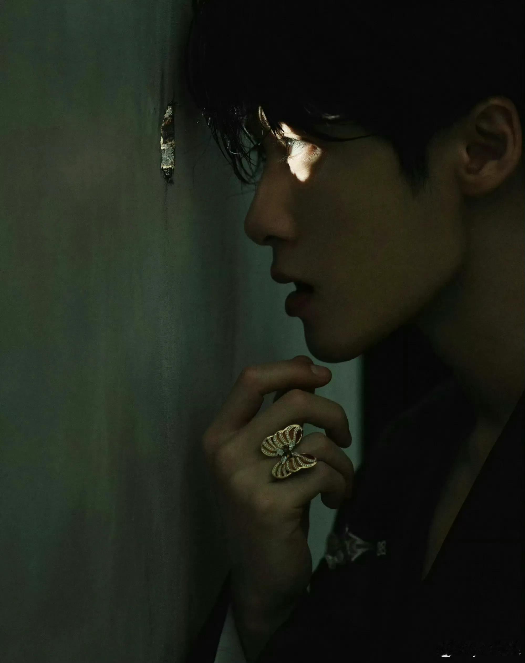 星光大赏红毯2025年腾讯视频星光大赏于12月19日在海口五源河体育馆举行，红毯