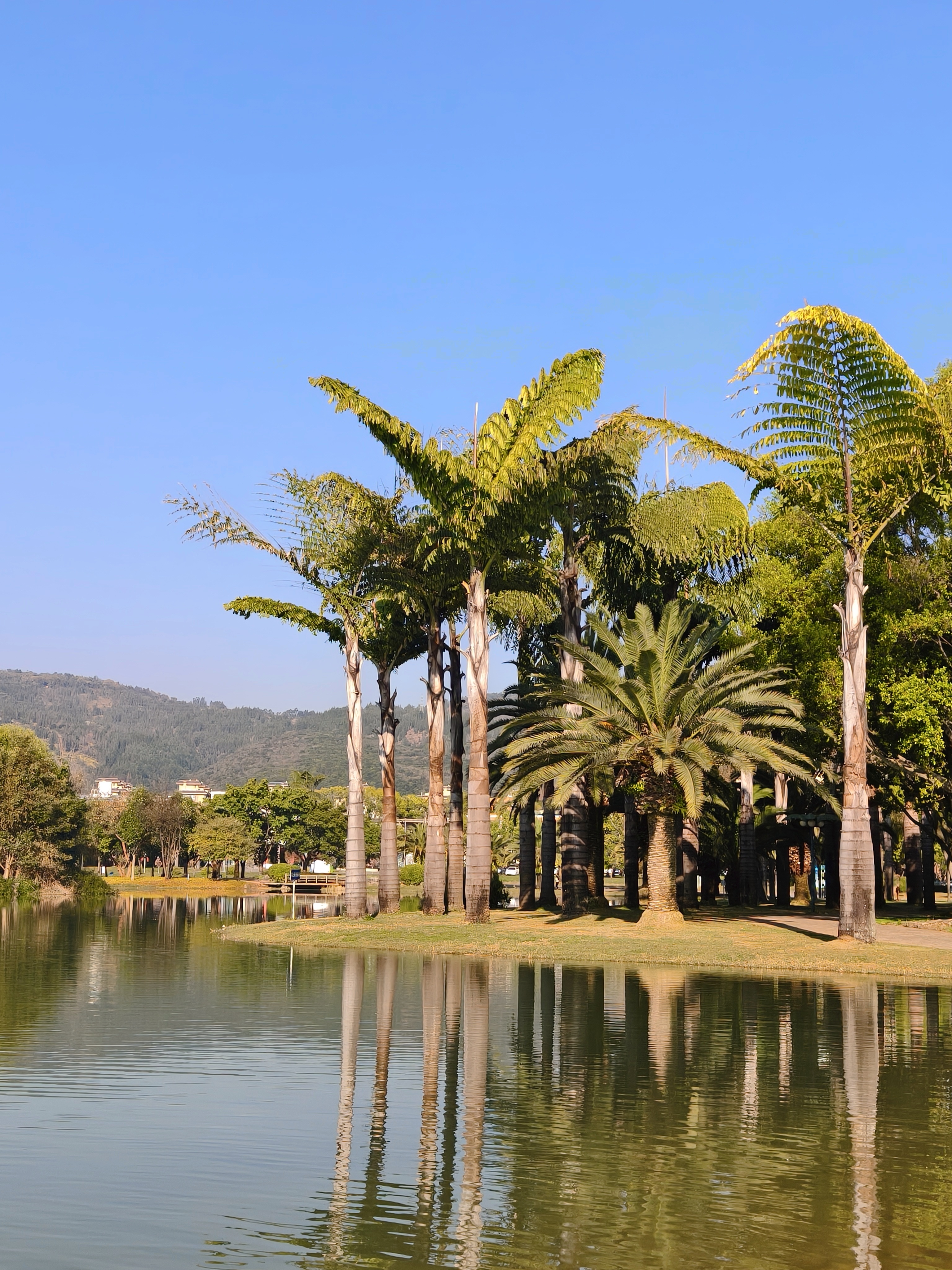 出来走走，然后回去帮忙做菜了