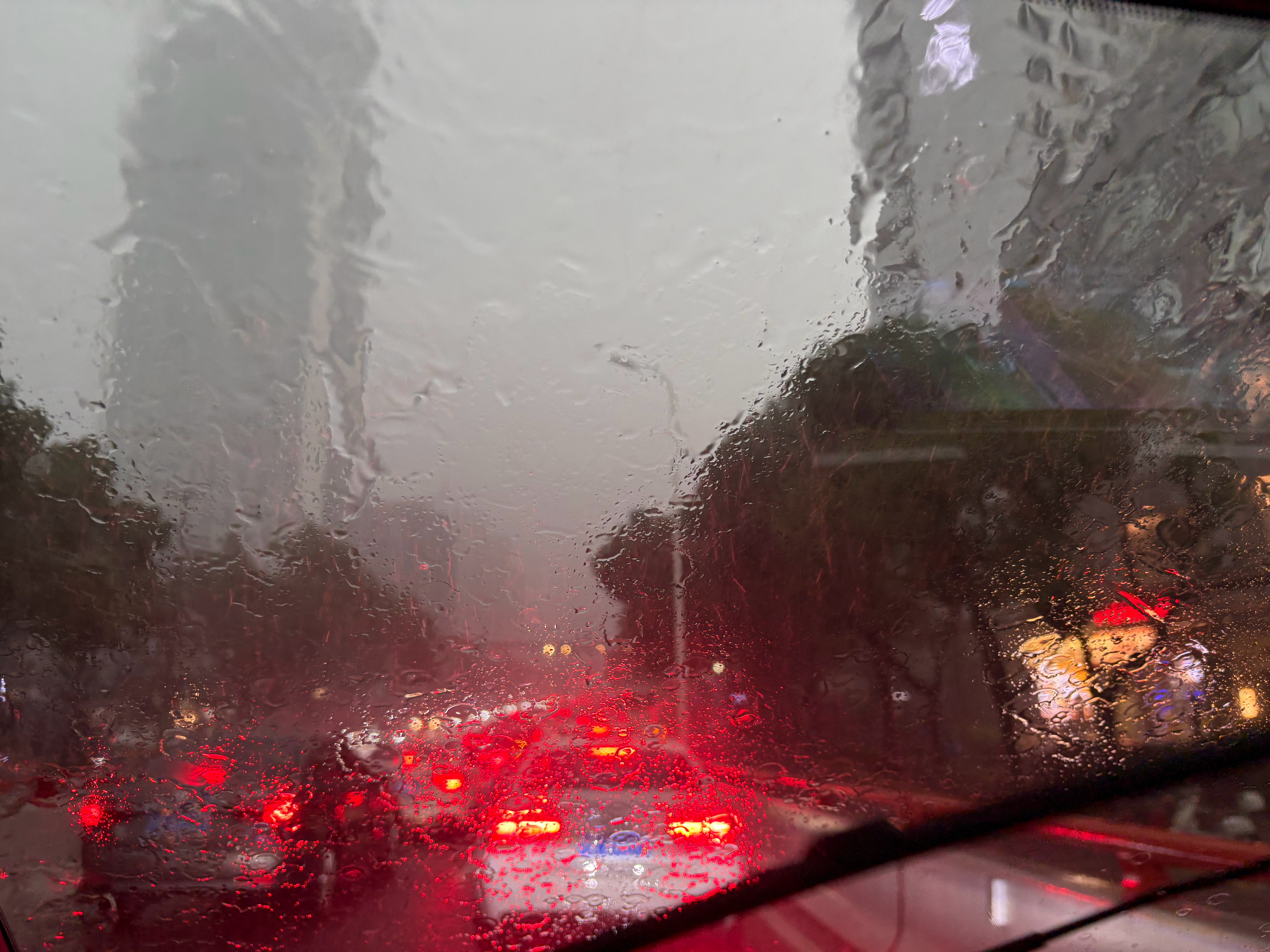 上海现在暴雨爆到这个程度白玉兰红毯估计很多人要迟到堵车...[二哈]好久没下这么