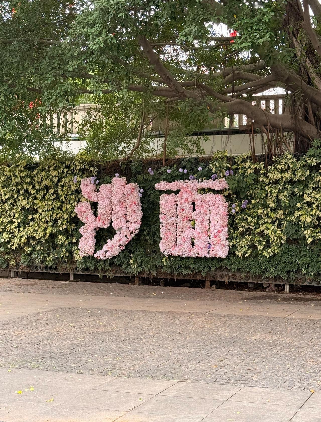 沙面｜十几年后重逢 熟悉又陌生
📍广州 沙面岛
十几年没来沙面了
一脚踏进来 