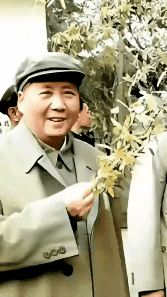 越是百姓身边小事，主席越思虑周全，处事缜密，但凡关乎民生福祉，从来一丝不苟，始终