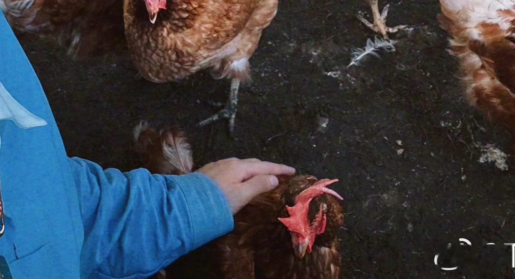 王俊凯你怎么摸🐥都有一丝宠溺的感觉。 