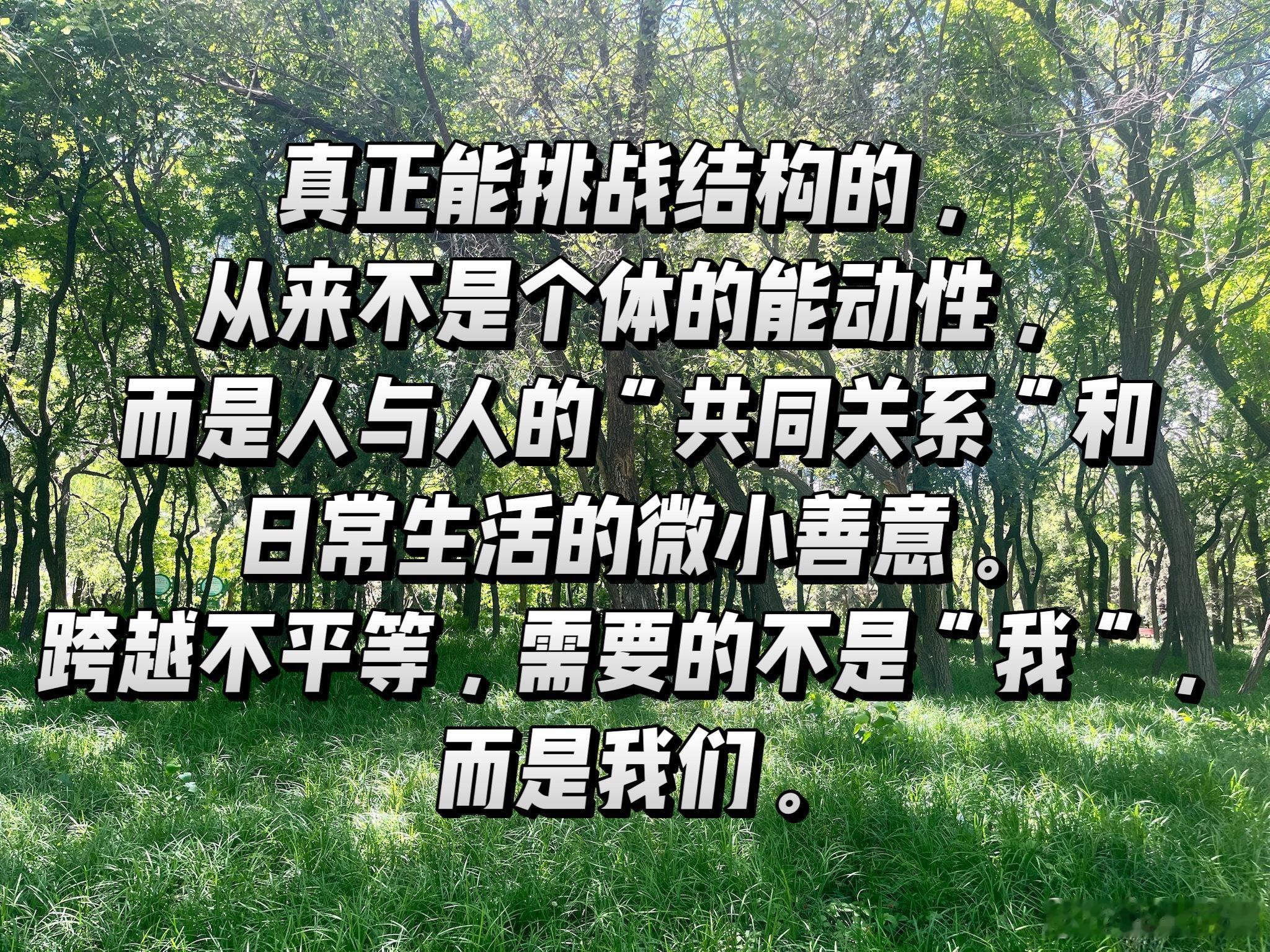 分享图片 