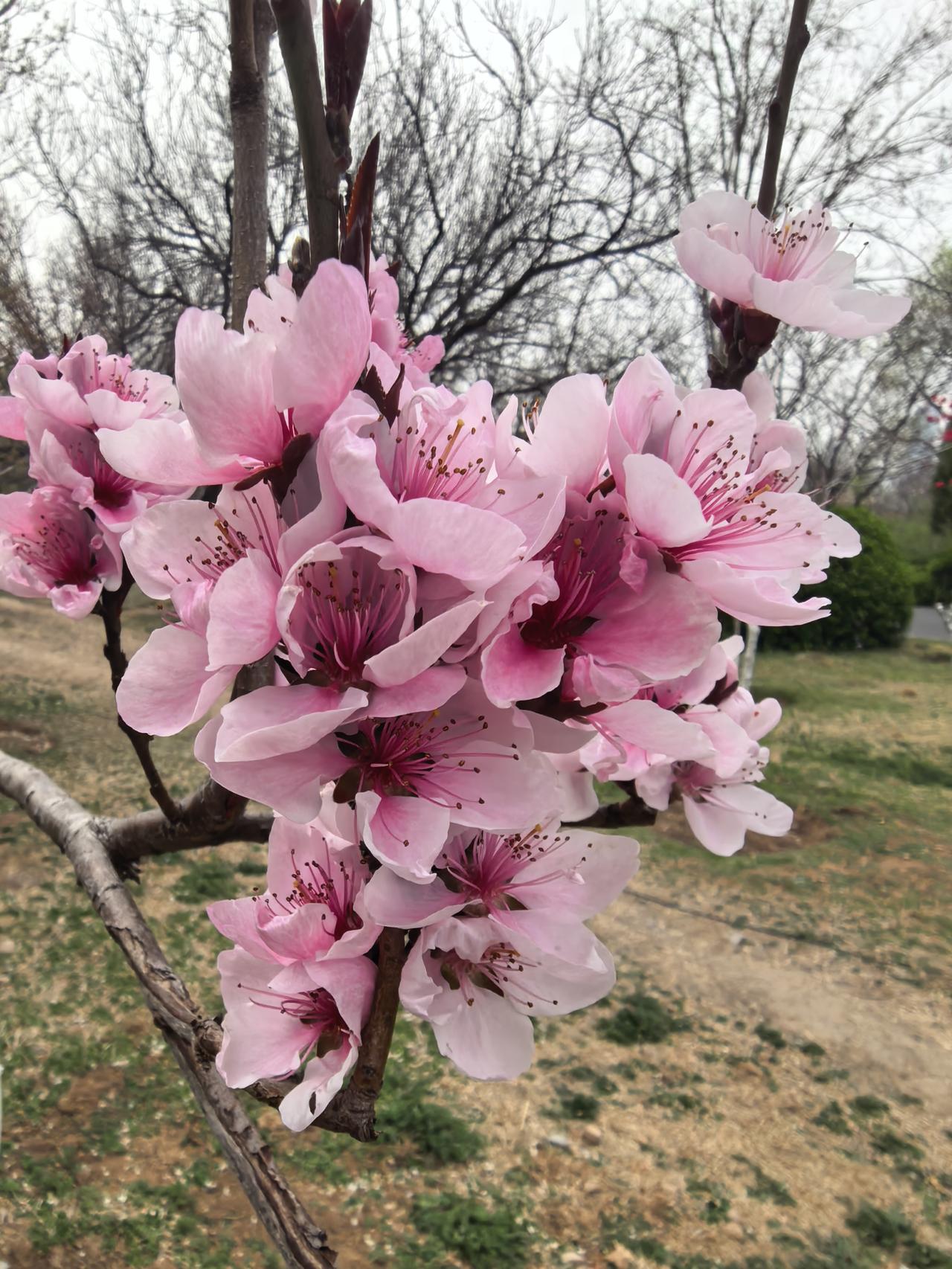 今年春天最想实现的心愿健康平安！