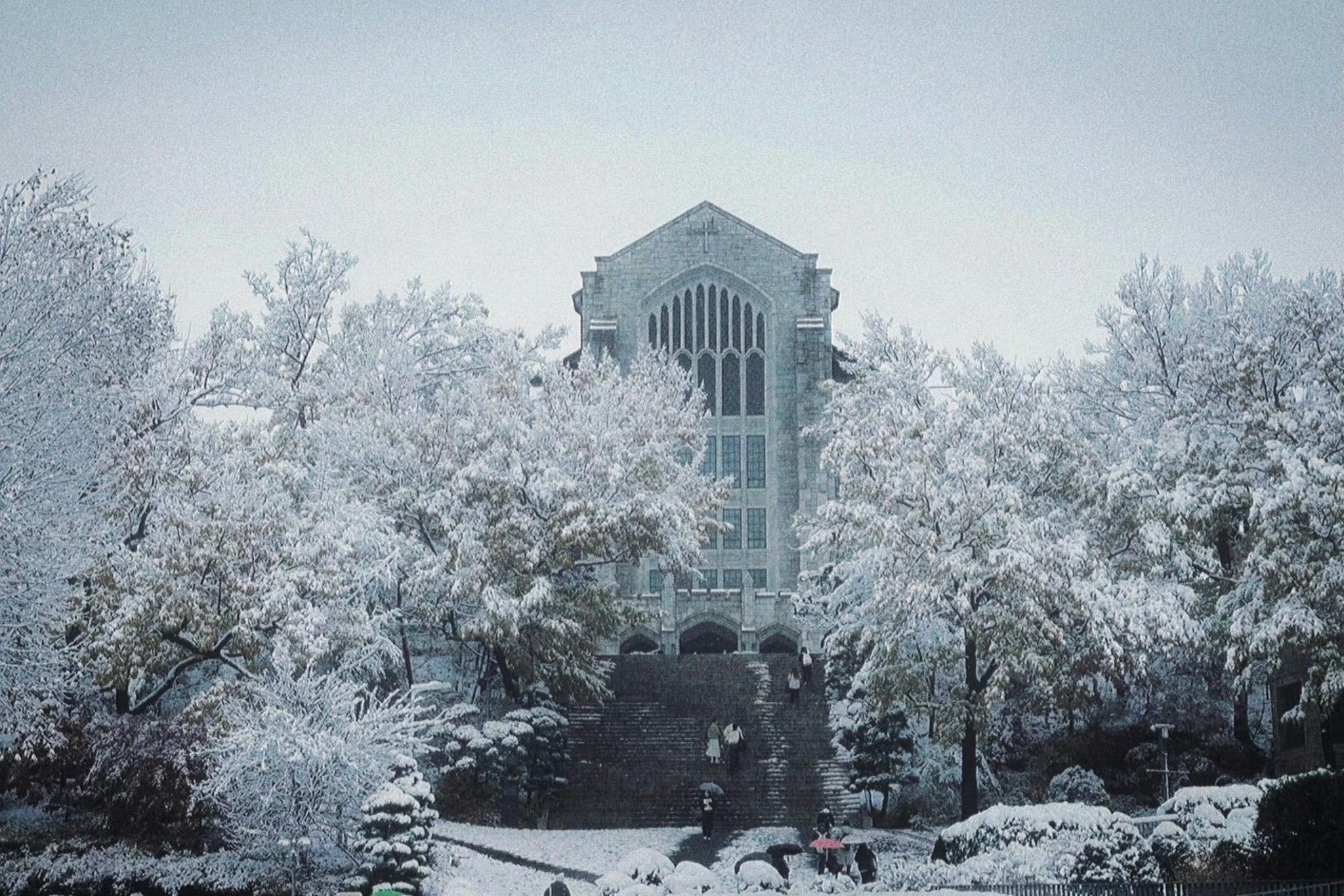 【热推】初雪后的梨花大 美到不想上课了 