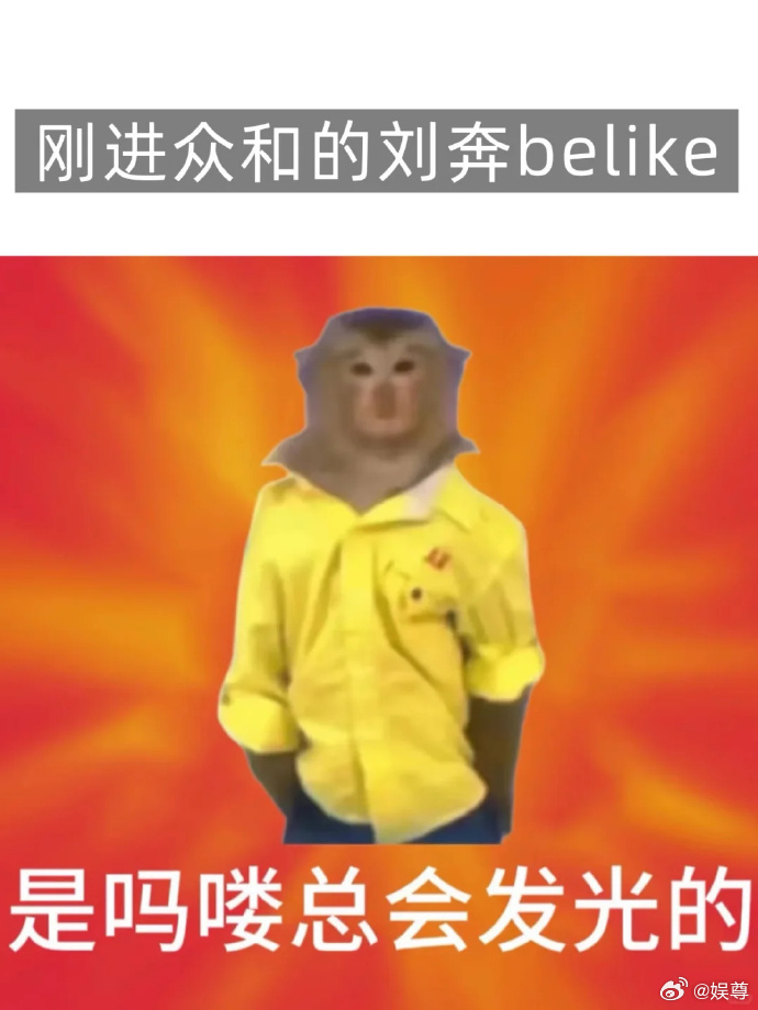 没有动物受到伤害除了猴子的心没想到猴子打工起来都很专业谁能想到片场还藏着一位猴老