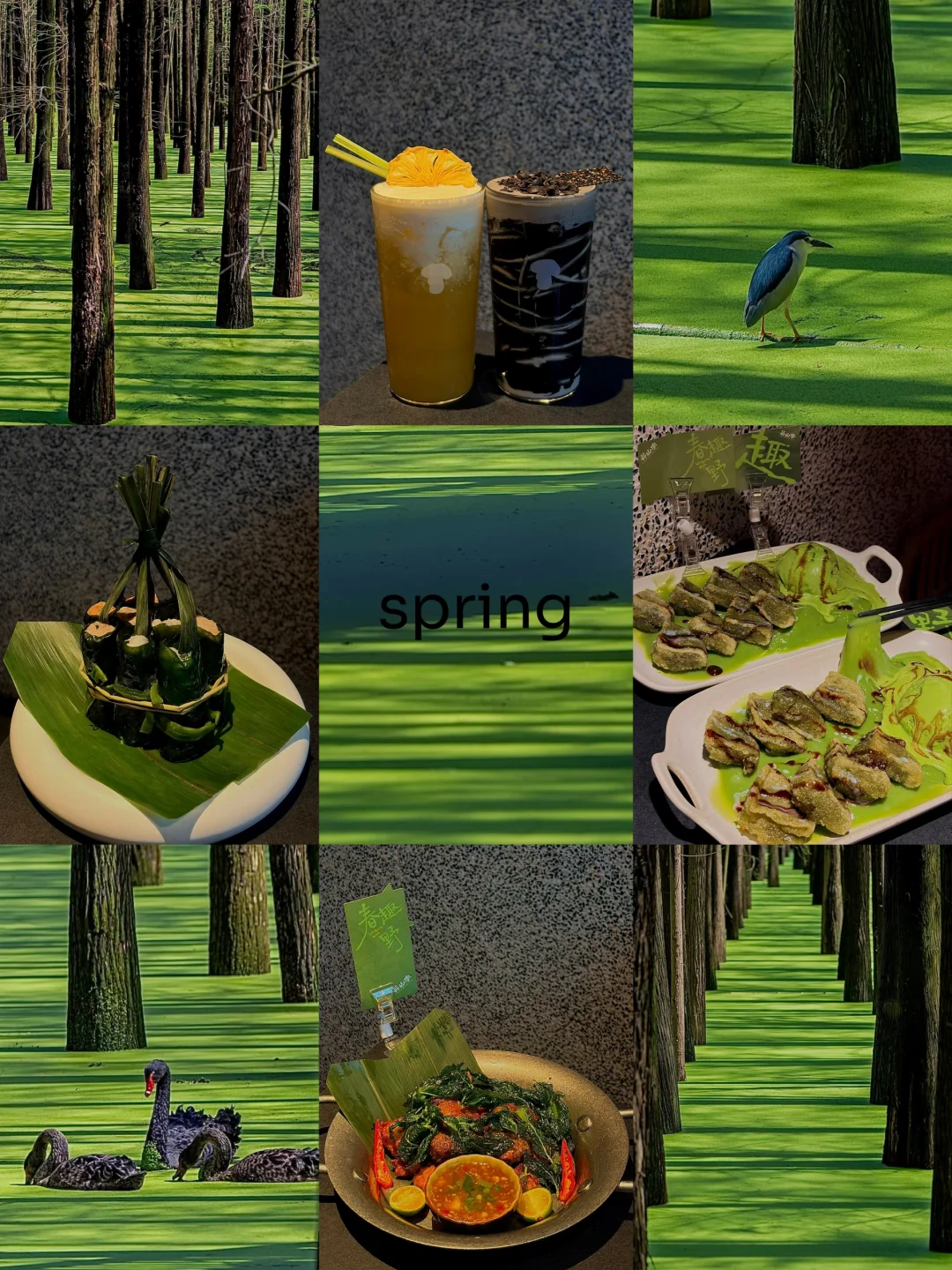 green green狠野！都吃过了吗？