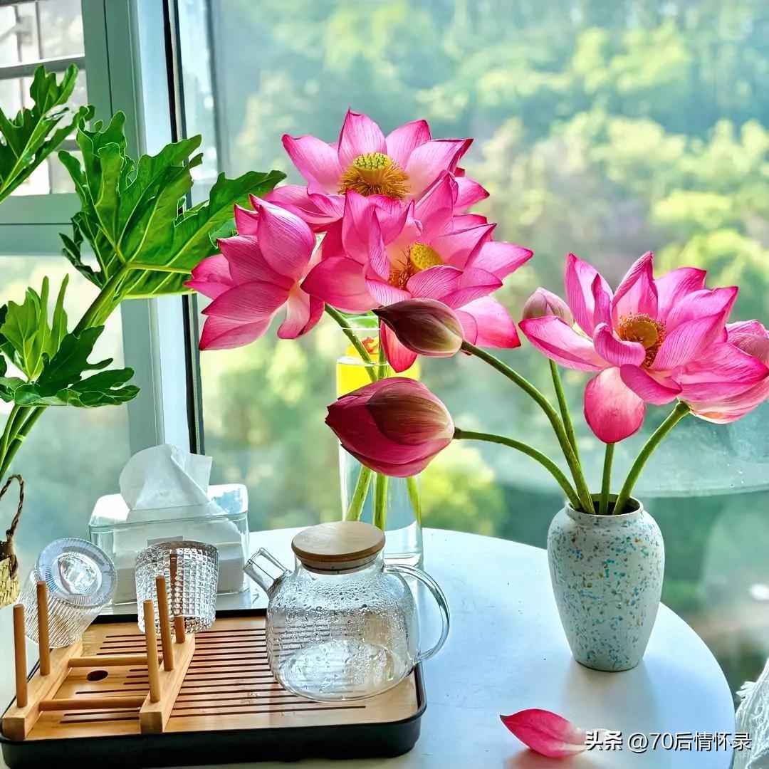 晓雾轻开迎旭光，清风伴履路生香。
心怀逸趣前行远，一路芳华入醉乡。
 
愿你怀揣