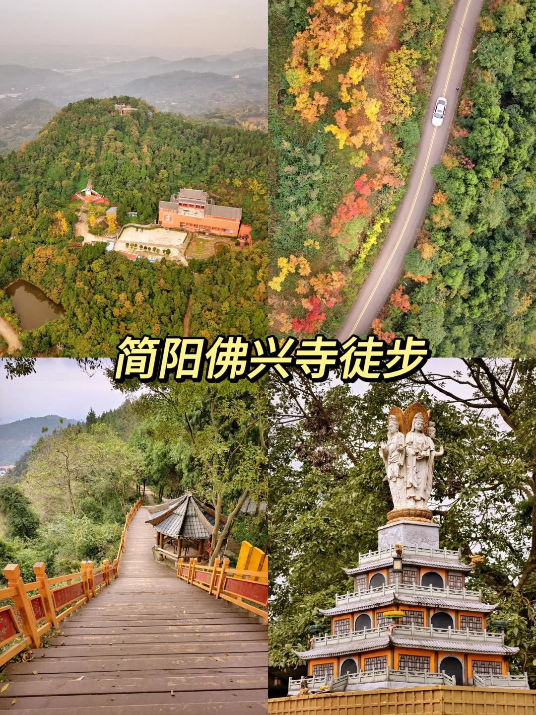 成都1h千年银杏古刹！环线轻徒赏秋🍂