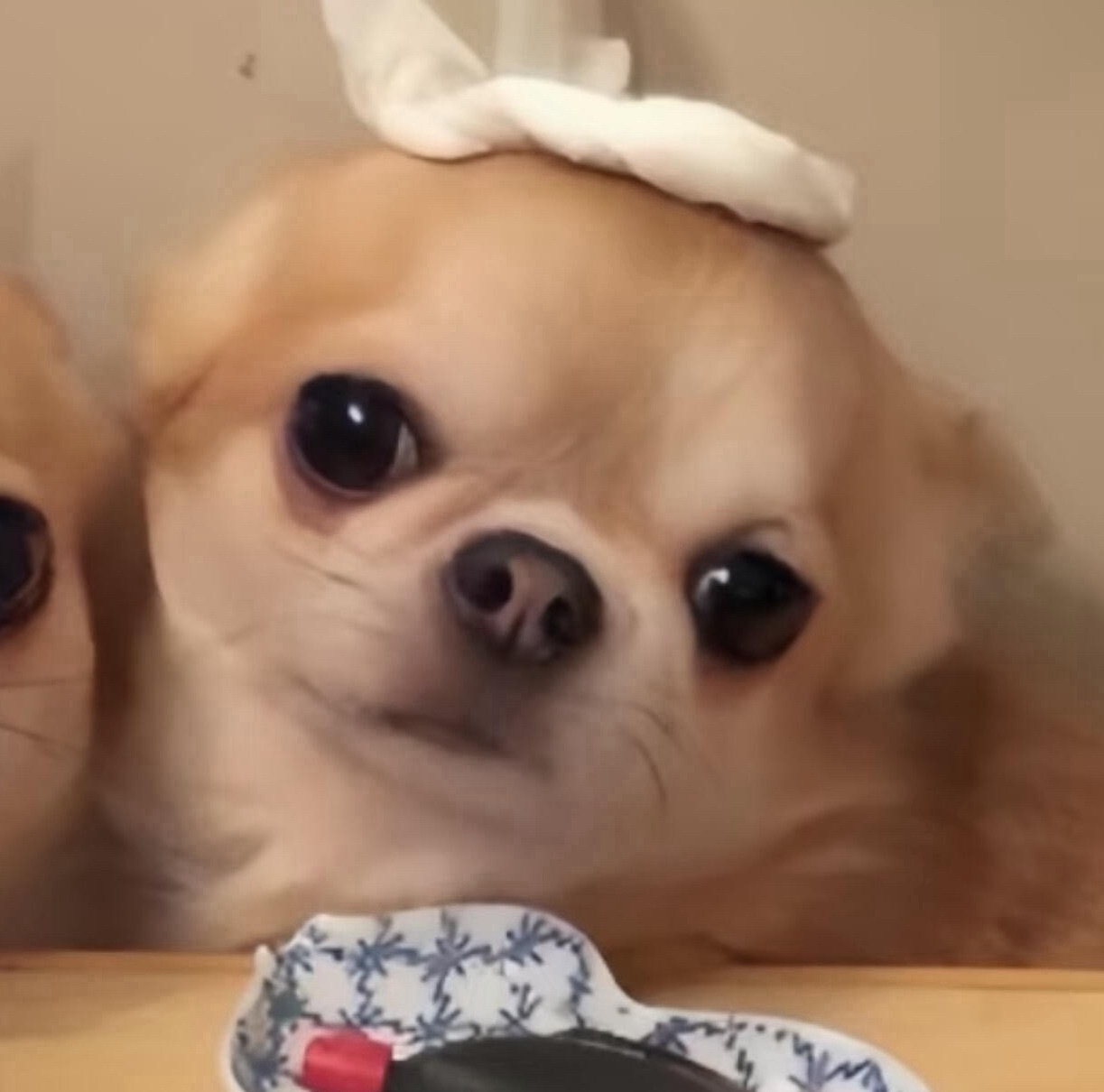 谁和我用 