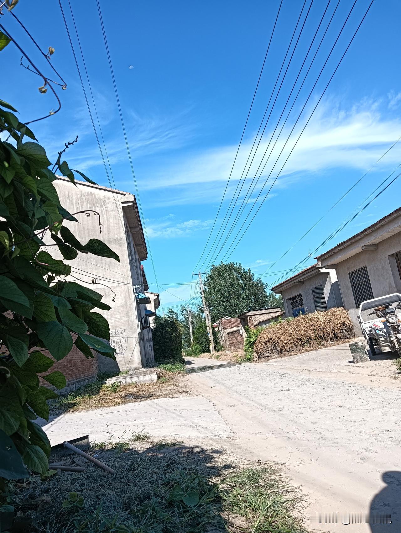 乡村小路，阳光明媚，空气清新。