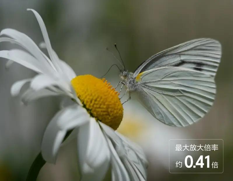 654克全幅长焦 新手入门超远摄。想拍远处的山、飞鸟还有演出现场，又嫌专业长焦太