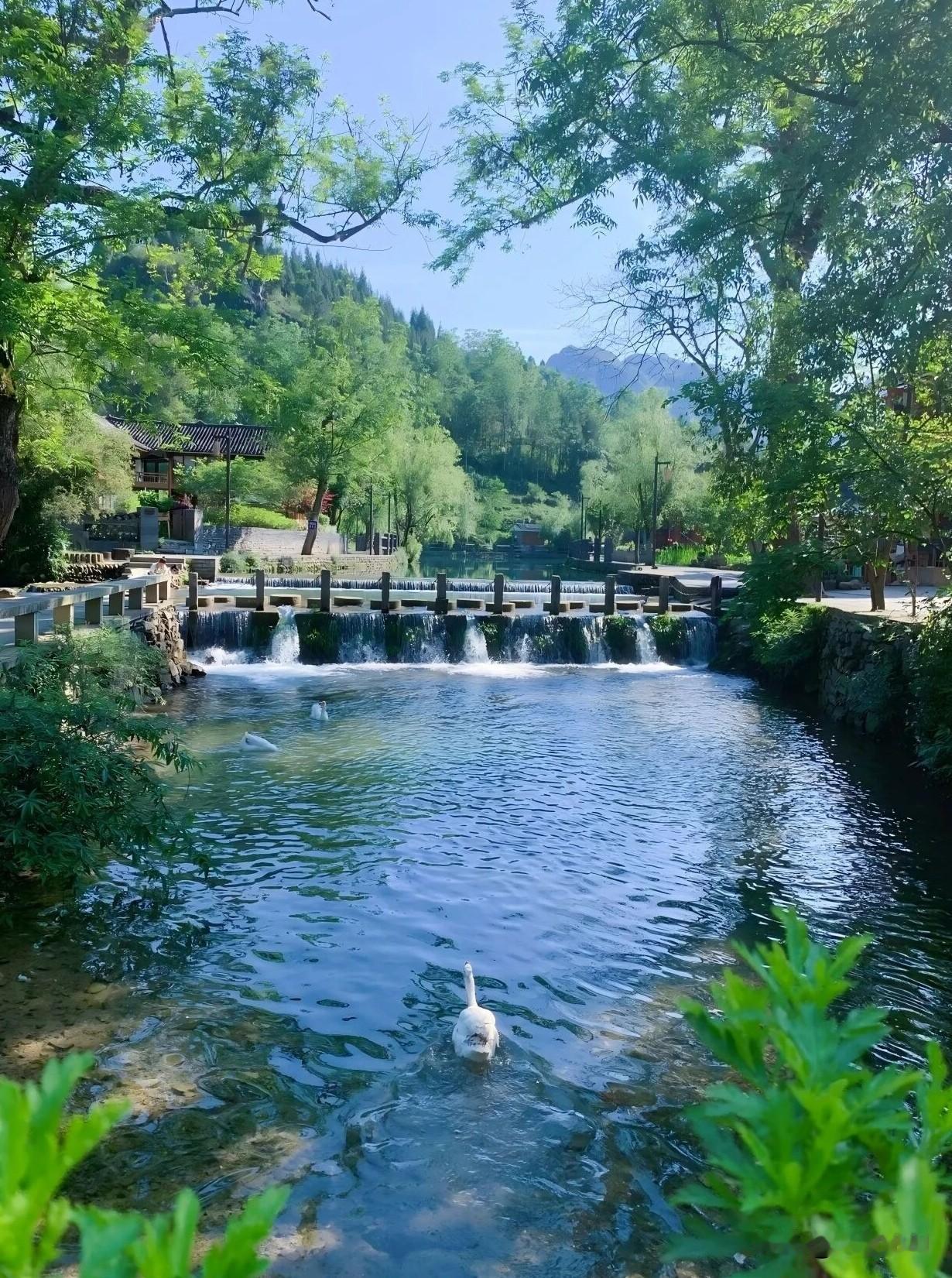 在家里就可以耍水世外桃源，岁月静好土家第一村，云舍村


这是贵州铜仁江口县太平
