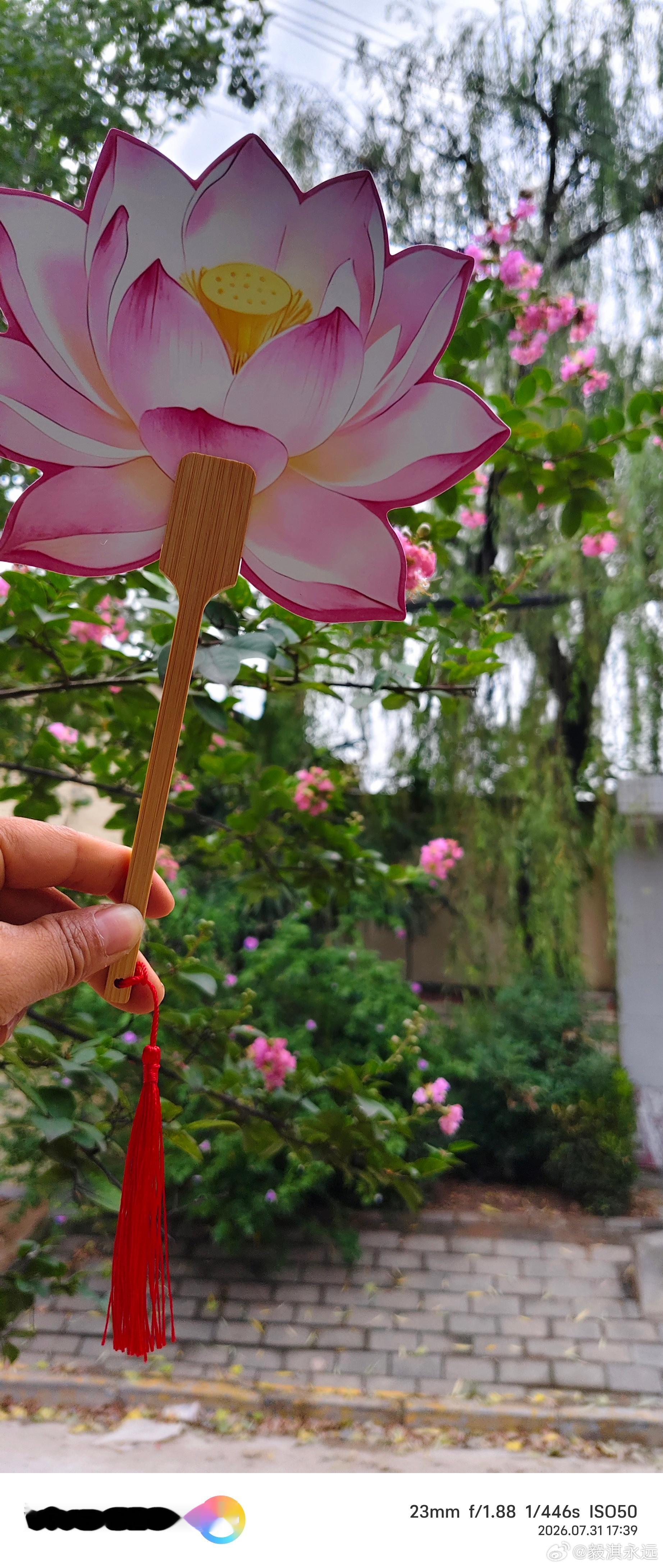 你想到了谁，我想到了他步步生莲花，莲花处处开 咸阳