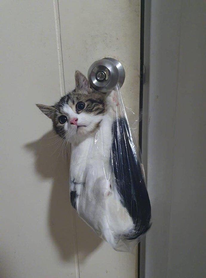 老板，给我打包一份