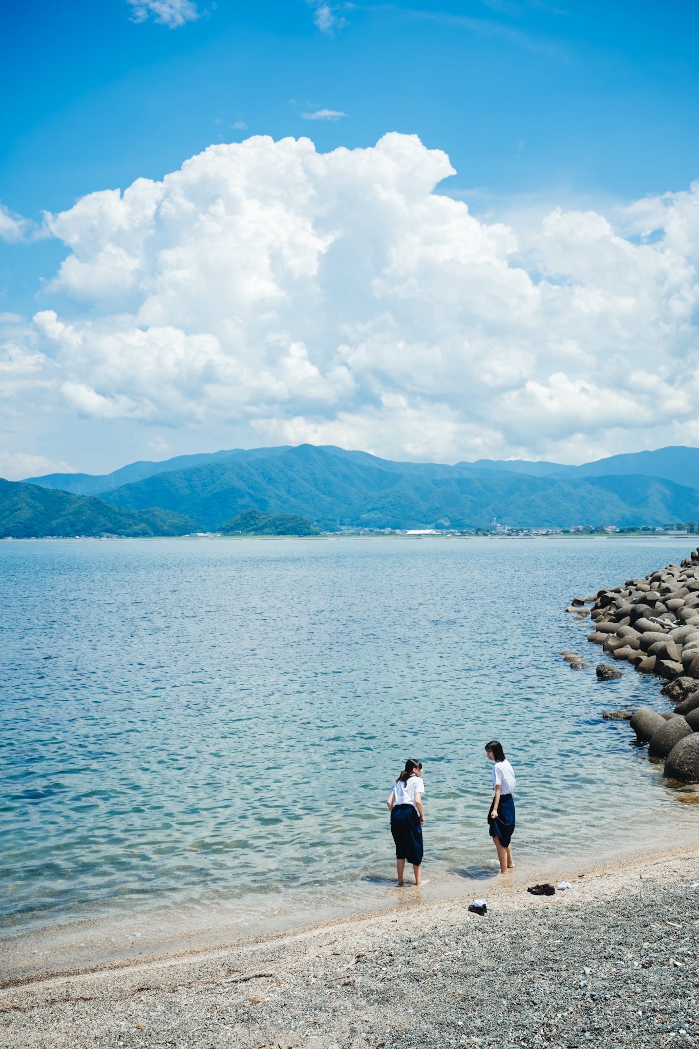 回不去的夏天（图源：x.com
