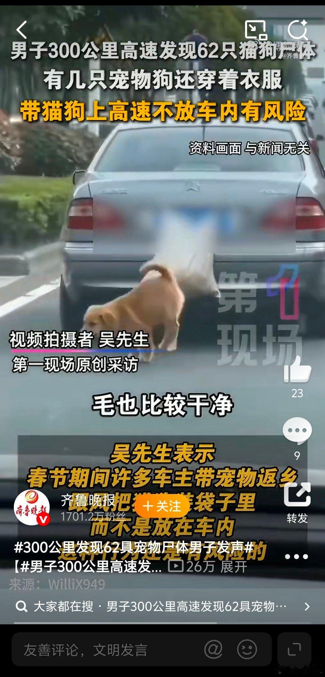 男子高速路上发现62具宠物尸体有些爱宠人士又作孽了。养了不好好养，连放车里都不愿