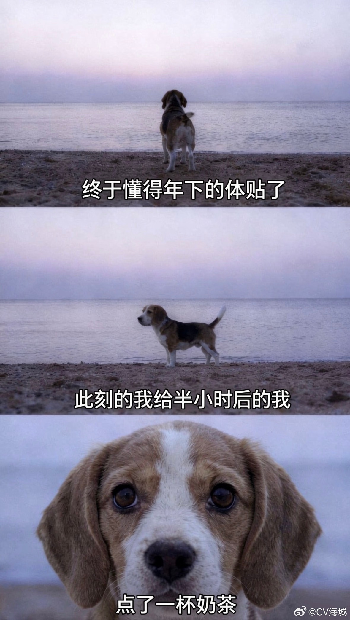 啊不对不对哦对的对的。 