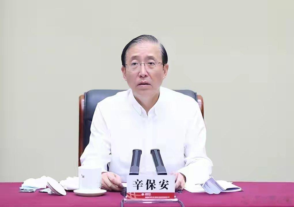 中央纪委国家监委网站7月31日消息，国家电网有限公司原党组书记、董事长辛保安涉嫌