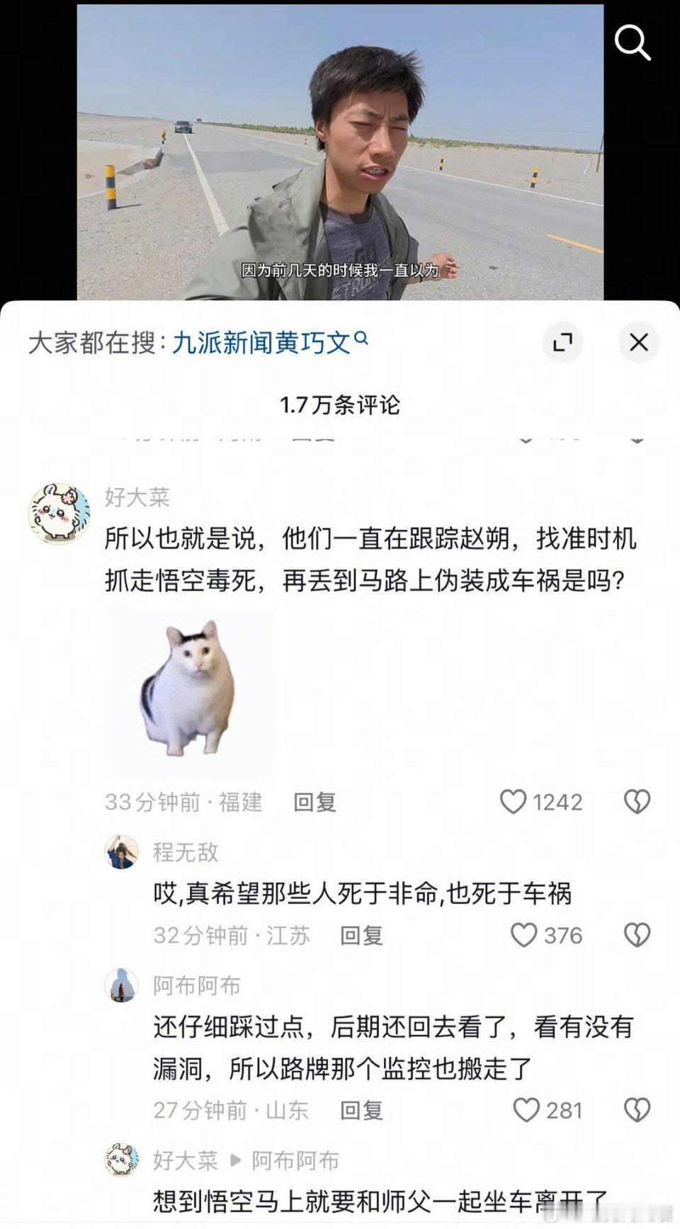 真的细思极恐！本以为悟空小猫的离去只是个意外，但最近有细心的网友发现了很多蛛丝马