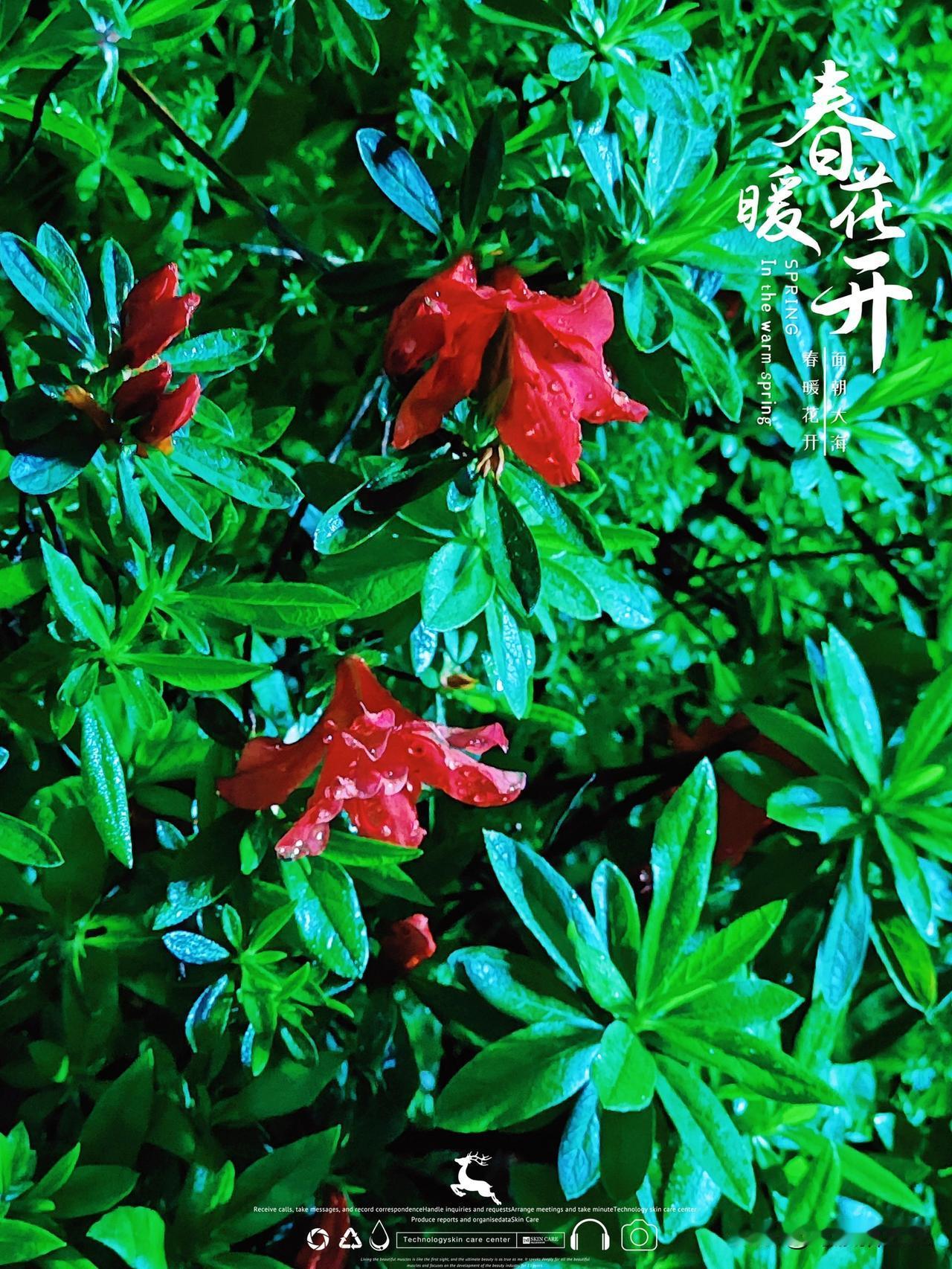 春雨哦春雨
上一篇也就是前天写的那场酣畅淋漓的春雨，稍微缓了一天，太阳露出笑脸笑