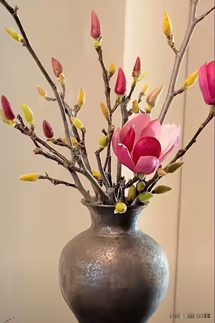 这个冬日有点暖！   

亲人想念时，看看留言心里很暖；

牵掛的时候，发个微信