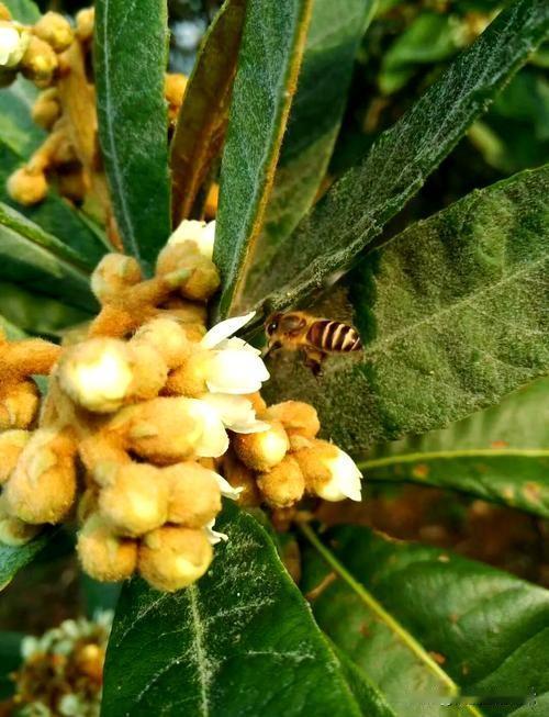 什么样的人能够遇到贵人？

1.有智慧的人，因为他懂的感恩，有感恩之心的人；
