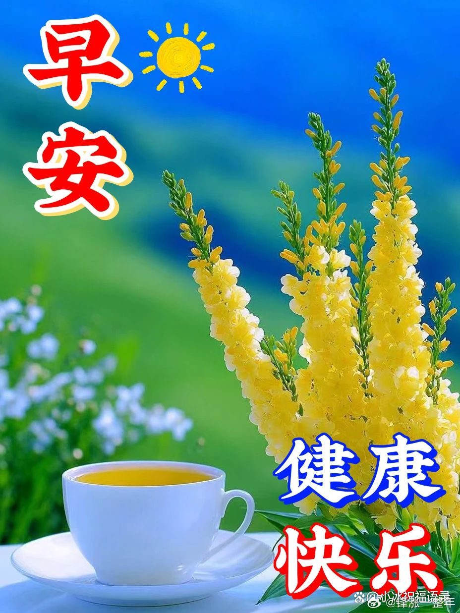 早上好[鲜花][鲜花] ​​​