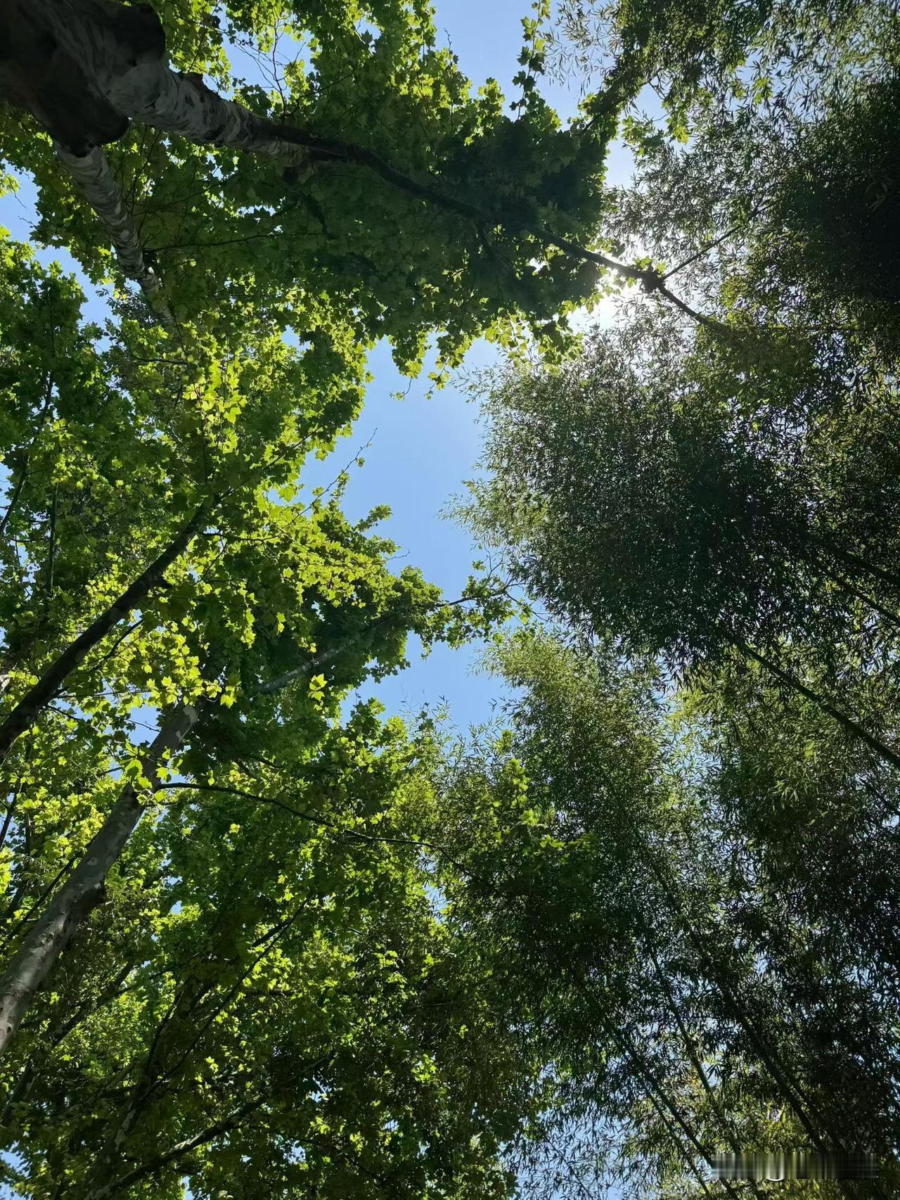 人过中年就算手里有不少存款，但是只要现在挣不到钱，开始花老本了，他们就会特别特别