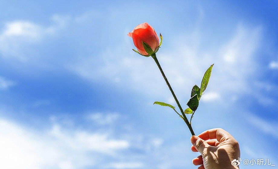 生活需要热情，更需要自律，积极和勤奋，否则，生活只是日历上的天数。 