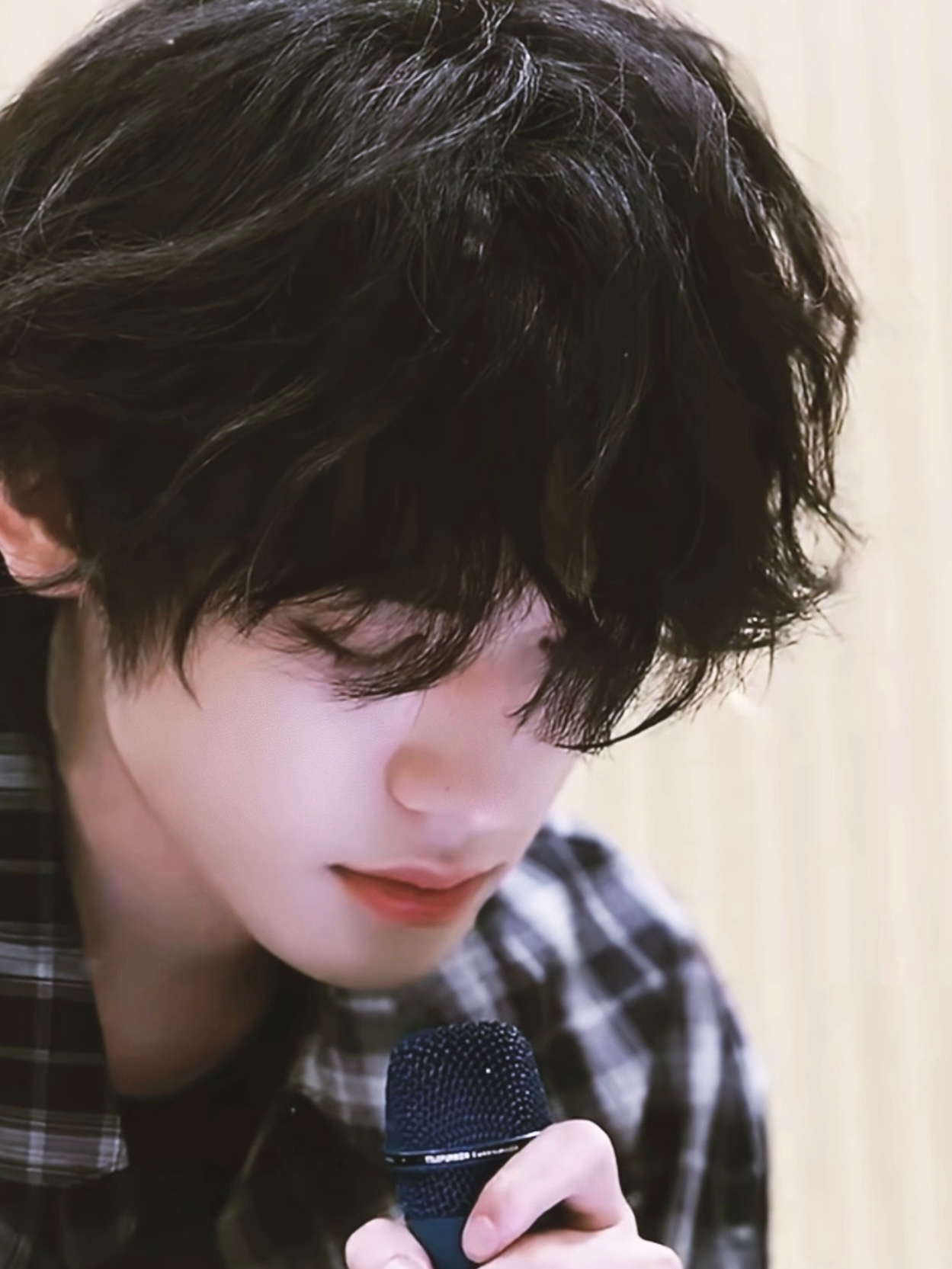 小狗欧巴 