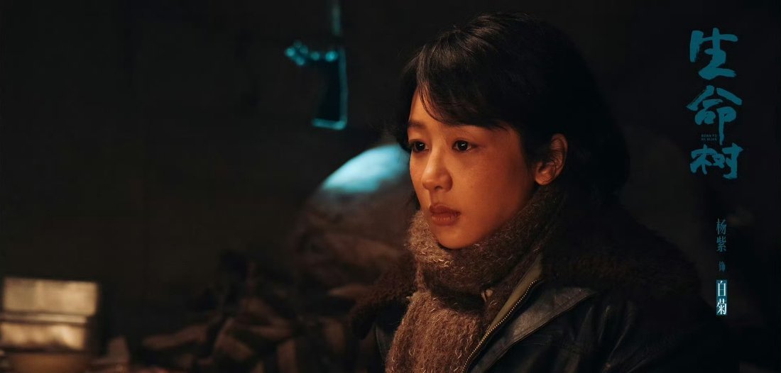 杨紫胡歌主演的新剧《生命树》正在播出～欢迎大家继续来看生命树 