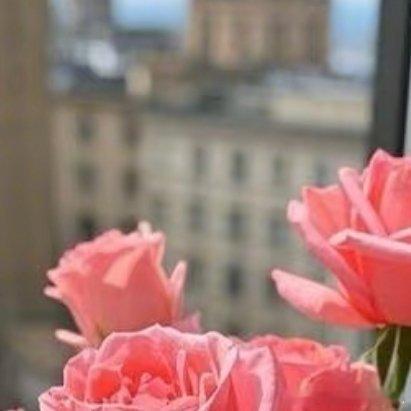 微公益种植🌹【家里养玫瑰，氛围感拉满！】🌹分享一波家里养玫瑰的小技巧，让你的