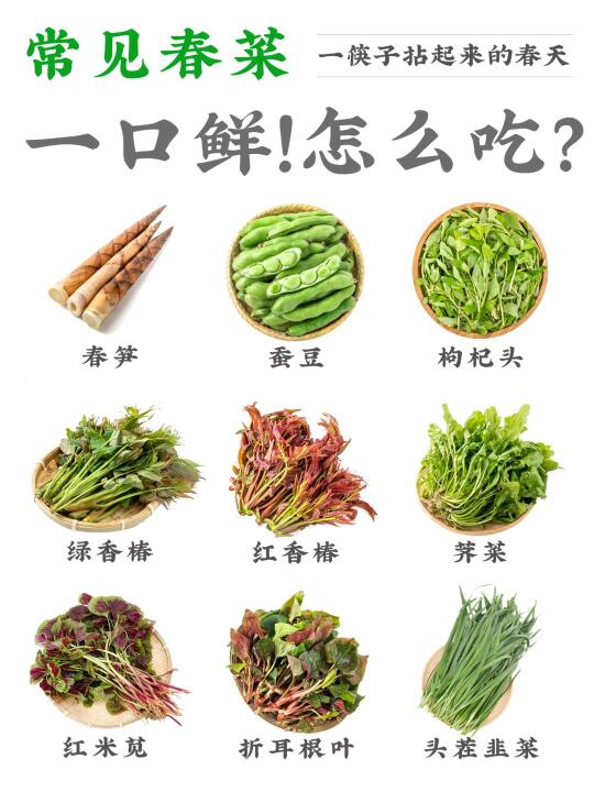 一口春菜，尝尽春天的味道🌱