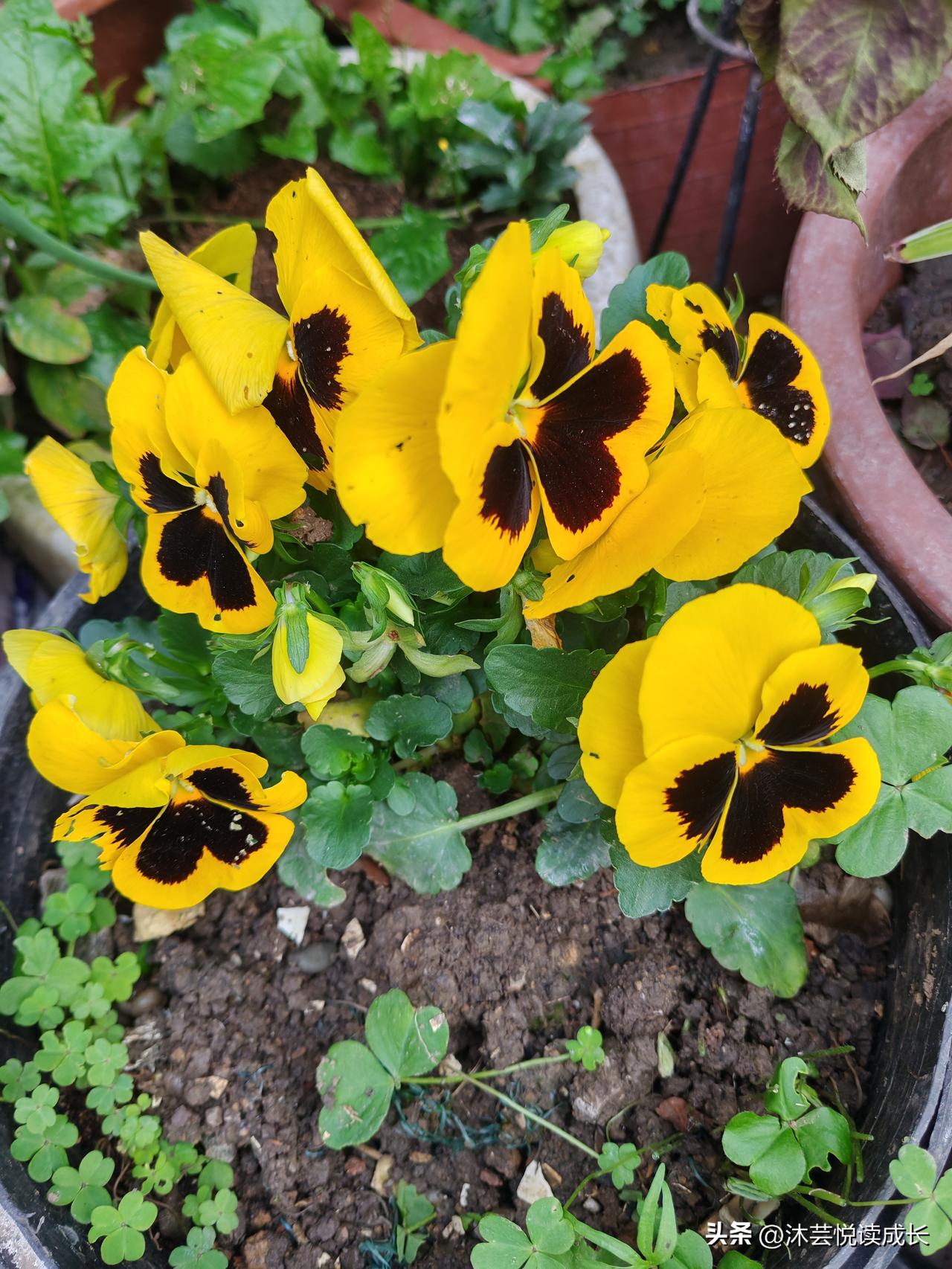 35岁儿子躺平打游戏，我旅游半年留花呗续命，回家时满屋子外卖盒…我这是养了个祖宗