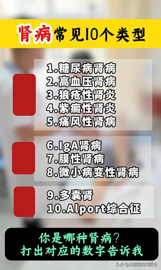 常见肾病分十种类型，认清病症好对症养护