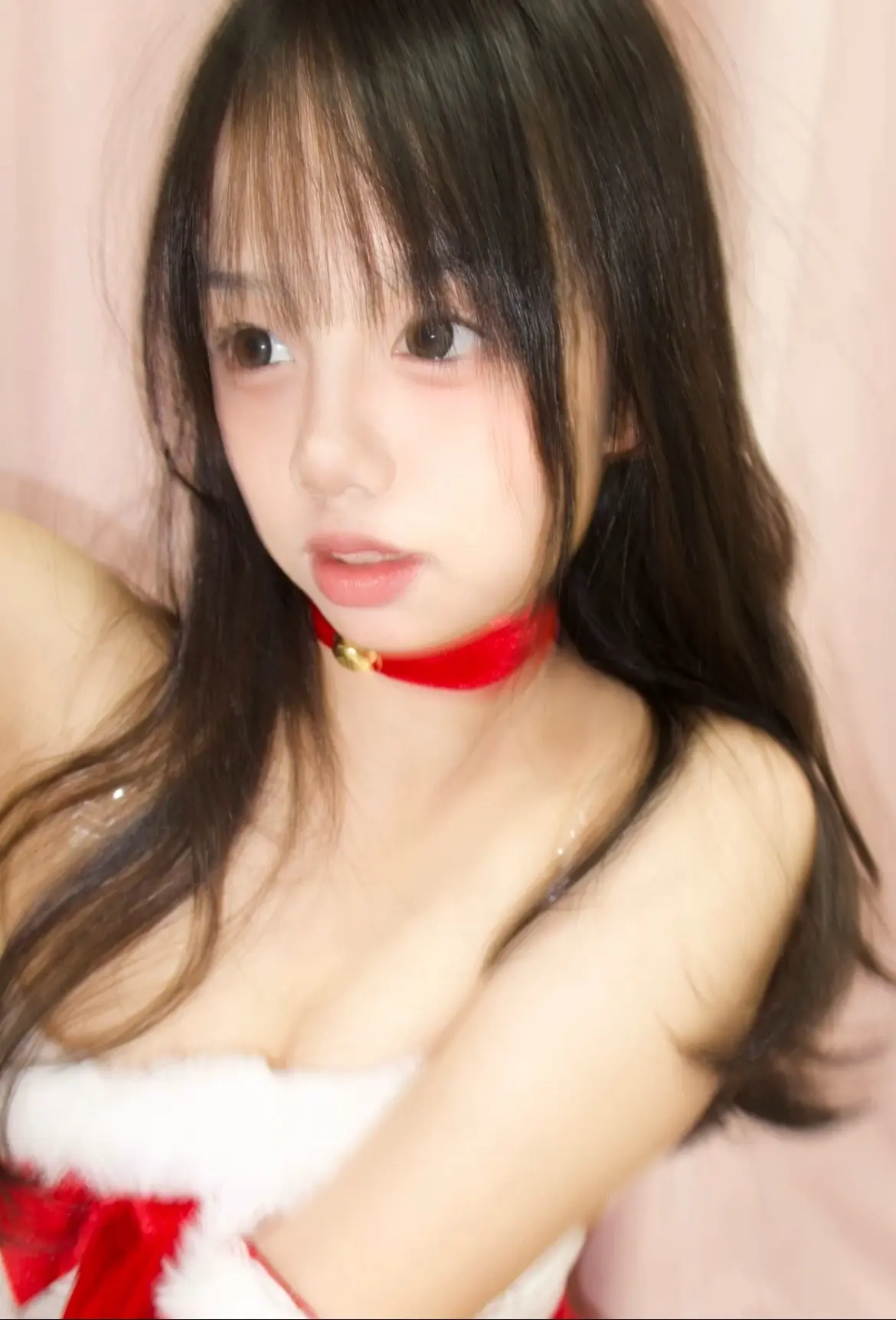 圣诞 小兔子