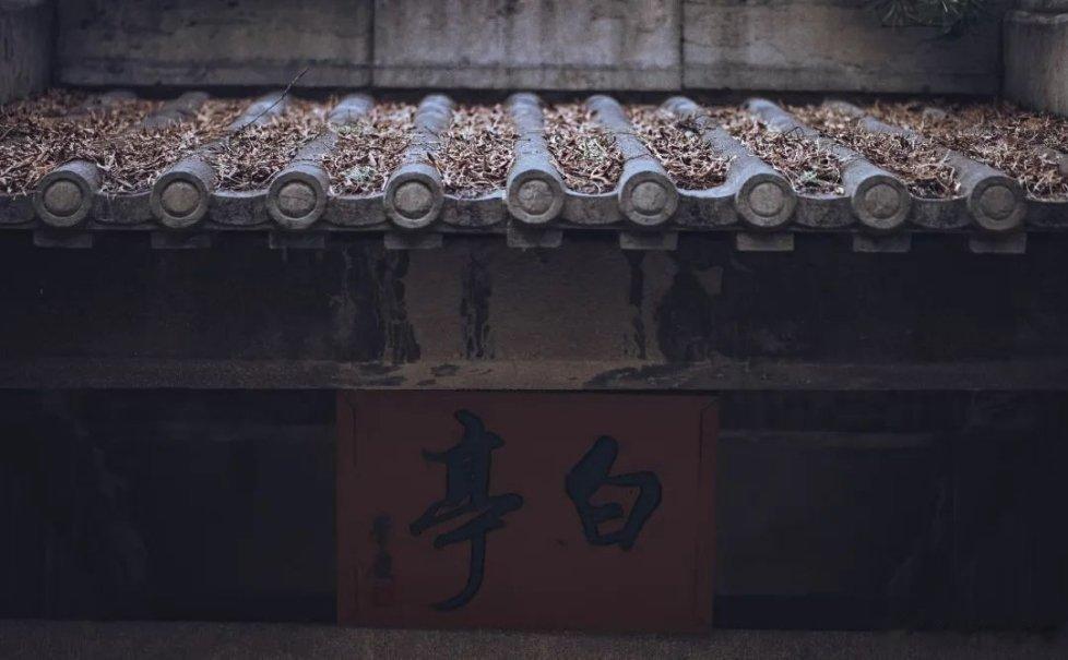 你知道白居易与龙门有什么情缘吗?#寻美洛阳# 白居易除了纵情于龙门的山水之间，白