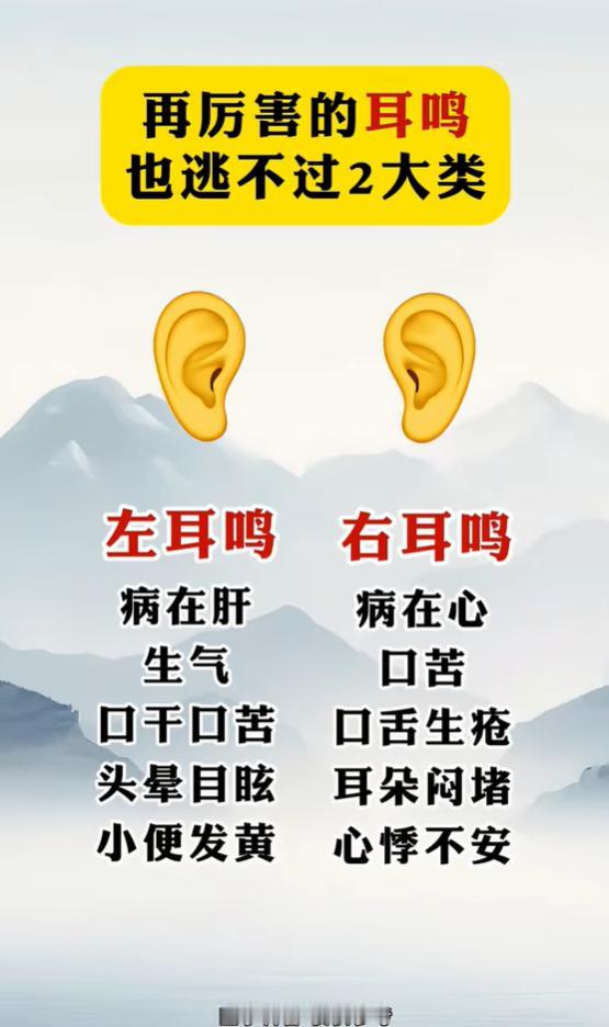 耳鸣分两类，左右根源各不同