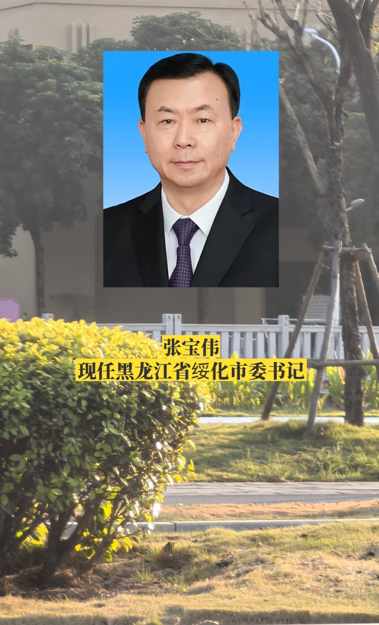 黑龙江绥化市委领导。