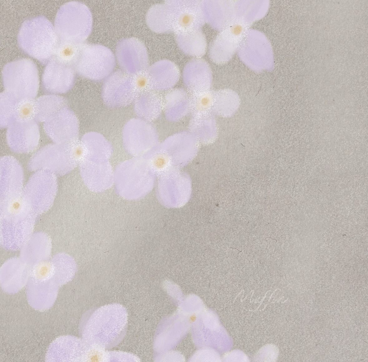 紫色小花 